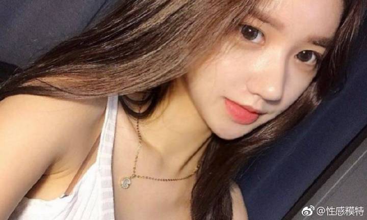 中外学者：西藏自治区60年实践是中国特色解决民族问题的生动例证